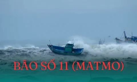 Bão giật cấp 15 tiến sát Biển Đông, miền Bắc lại đối mặt nguy cơ gió giật và mưa lớn