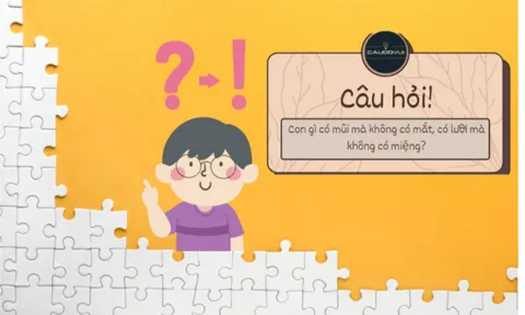 Giải mã 10 câu đố hack não nhất lịch sử