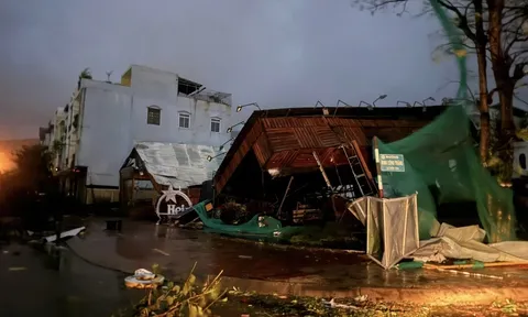 Cảnh hoang tàn ngay sau khi bão số 13 Kalmaegi quét qua Gia Lai