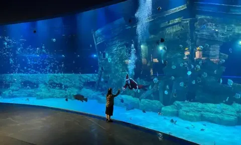 Tết này đi đâu? Traveloka gợi ý loạt điểm đến ‘hot’ nhất dịp đầu năm 2026