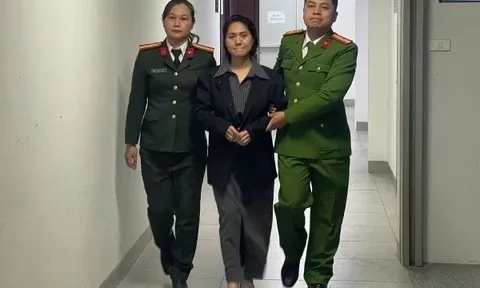 Lời khai của giám đốc công ty tổ chức show 'Về đây bốn cánh chim trời'