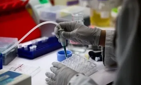 Virus Nipah gây tử vong cao, vì sao chưa có thuốc và vaccine?