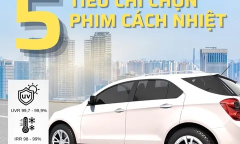 Hệ sinh thái toàn diện tại Đặng Gia Auto: Giải pháp tối ưu cho ngành chăm sóc ô tô