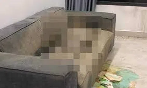 Phát hiện xác khô đã phân hủy của cô gái trên sofa trong căn hộ