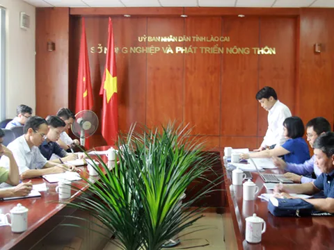 Lào Cai: Bắt giữ 1 tấn tôm càng đỏ vận chuyển từ Trung Quốc về Việt Nam