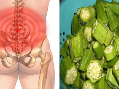Chất nhầy có phải là thành phần chữa bệnh xương khớp của đậu bắp?