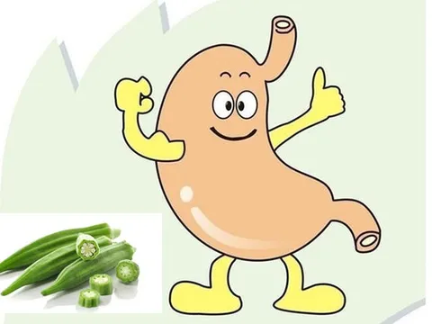 Thực hư ăn Đậu bắp có chữa bệnh dạ dày ?