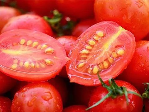 Hạt cà chua - nhỏ mà có `võ`