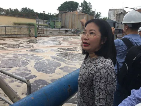 Cá chết trên sông La Ngà: Đồng Nai điều tra Công ty Mauri Việt Nam