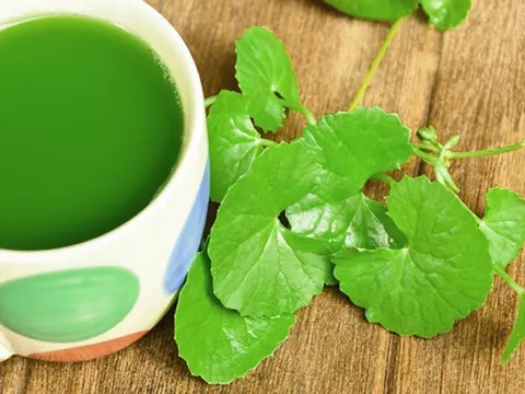 Xua tan nắng nóng với các thức uống ngon, bổ, rẻ