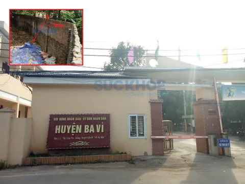 Xã Thụy An chôn lợn dịch chưa đúng quy định, UBND huyện Ba Vì rút kinh nghiệm
