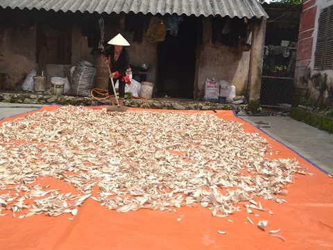 Thoát viêm đa khớp mãn tính, cụ bà hồ hởi chia sẻ phương pháp chữa trị cực đơn giản