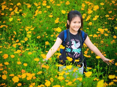 Cô bé đề xuất không thả bóng bay trong ngày khai giảng được đích thân Bộ trưởng viết thư khen ngợi
