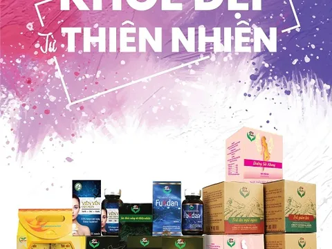 Trà thảo dược Allherbs – Nói không với chất bảo quản