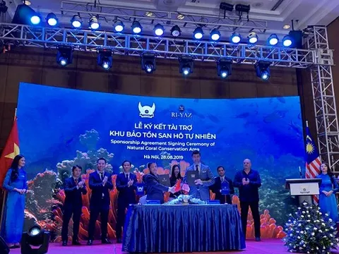 Vịnh san hô tại Nha Trang hứa hẹn được phục hồi với dự án nghiên cứu tái tạo 100.000 USD