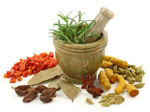 Chữa bệnh trào ngược dạ dày bằng thảo dược tự nhiên dễ kiếm
