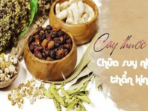 Những thảo dược bổ não giúp đẩy lùi chứng mất ngủ, suy nhược thần kinh