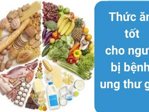 Món ăn bài thuốc hỗ trợ điều trị ung thư gan giúp người bệnh tăng sức đề kháng, phục hồi sức khỏe