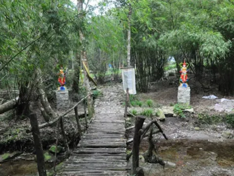 Kỳ bí rừng ma ao dứa bao quanh Địa Ngục tự, chỉ người bạo gan mới dám đặt chân đến