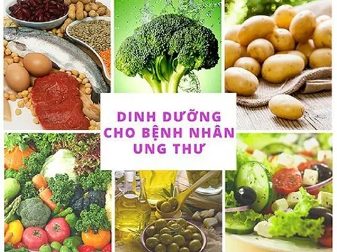 Bài thuốc siêu công dụng từ những món ăn cho người ung thư dạ dày