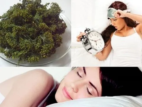 Công dụng tuyệt vời của hoa tam thất trong điều trị an thần và mất ngủ