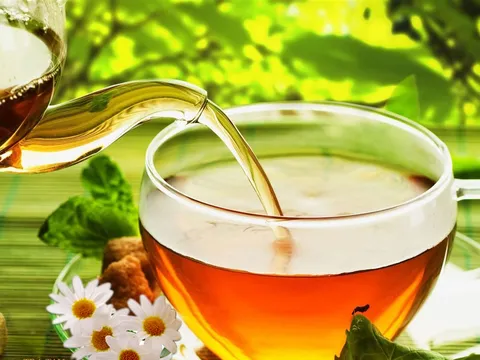 Trị viêm đường tiết niệu cho mẹ bầu bằng cây cỏ tự nhiên