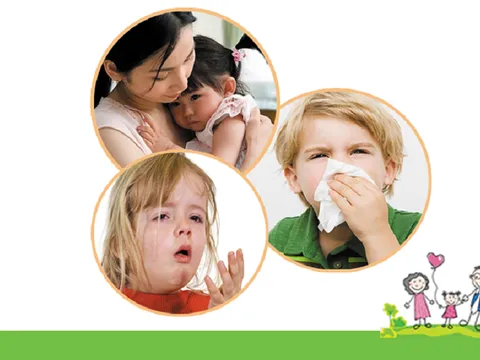 Điều trị viêm đường hô hấp từ những thảo dược quanh nhà bếp