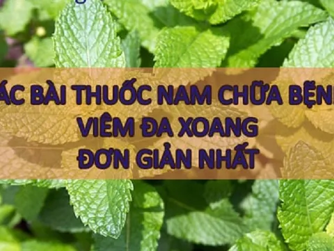 Bài thuốc Nam điều trị chứng viêm xoang từ cây cỏ tự nhiên