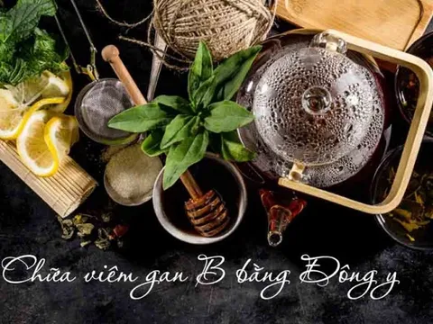 Bài thuốc Đông y điều trị viêm gan B hiệu quả theo chứng bệnh và thể bệnh