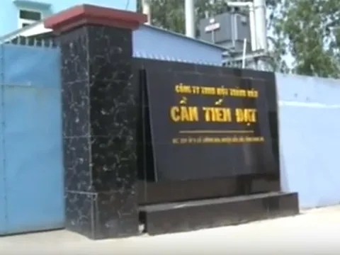 Sau khi bị đóng cửa vì xả thải, Công ty Cần Tiến Đạt lại xây dựng không phép