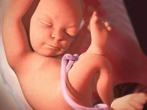 Bệnh viện Phụ sản Hà Nội: Lần đầu tiên chữa bệnh cho thai nhi ngay trong bụng mẹ