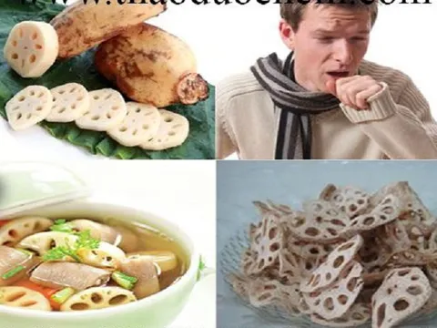 Món ăn bài thuốc dưỡng phổi, phòng trị bệnh hô hấp cực hiệu quả