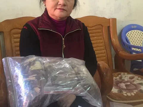 Bài thuốc Nam chữa sâu răng cực hiệu quả của nữ công an về hưu
