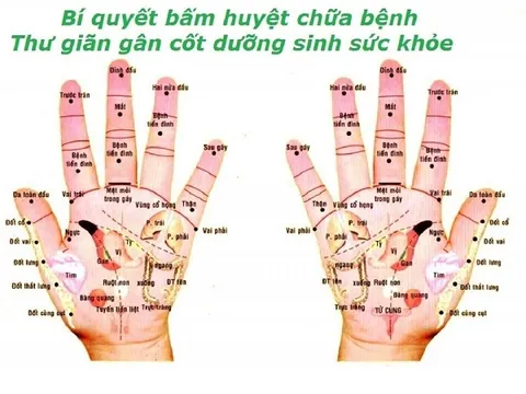 Giải mã các huyệt vị quan trọng trên cơ thể, xoa bấm mỗi ngày tốt hơn thuốc bổ