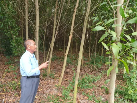 Vĩnh Cửu, Đồng Nai: Chuyển hồ sơ sang cơ quan CSĐT vụ một mảnh đất hai sổ đỏ