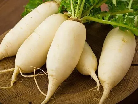 Vì sao gọi củ cải là 'nhân sâm trắng' của người nghèo?