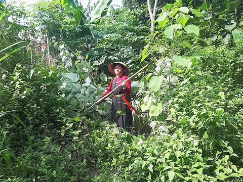 Khổ sở vì viêm nhiễm phụ khoa, người phụ nữ vừa khỏi bệnh vừa có con nhờ bài thuốc dân tộc Cao Lan