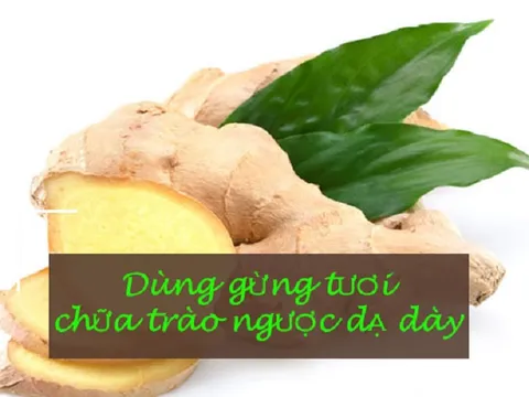 Bài thuốc từ gừng tươi chữa trào ngược dạ dày vô cùng hiệu nghiệm
