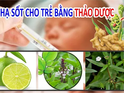 8 cách hạ sốt cho trẻ nhanh, an toàn bằng nguyên liệu dễ tìm trong tự nhiên