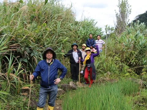 Ký sự Sâm Ngọc Linh: Cheo leo Trà Cang