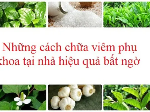Chữa viêm phụ khoa đơn giản và hiệu quả với bài thuốc từ nguyên liệu tự nhiên quanh nhà
