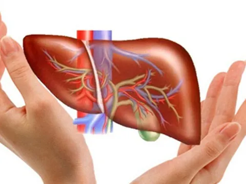 Giải mã bài thuốc Nam chữa các loại bệnh gan thần diệu nổi tiếng ở Tây Bắc
