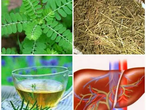 Vượt qua lời nguyền, bà lang Cao Lan sở hữu bài thuốc Nam chữa bệnh gan lừng danh Tây Bắc