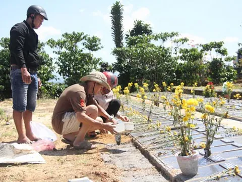 Cảm phục 3 lão nông cầm sổ đỏ xây 'nghĩa trang cho những thiên thần'