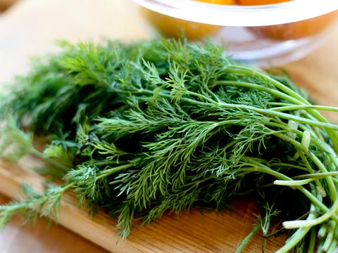 Thêm ngày vào tủ thuốc gia đình 7 loại thực phẩm chữa “bách bệnh” sẵn có trong vườn