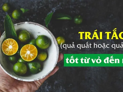 Những bài thuốc chữa bệnh thông dụng từ loại quả trưng Tết nhà nào cũng có
