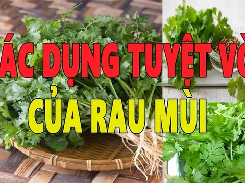 Ngày Tết tắm rau mùi già không chỉ là phong tục mà còn vô vàn tác dụng với sức khỏe 