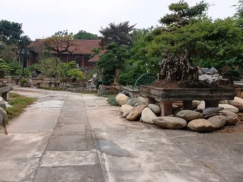 Sóc Sơn-Hà Nội: Dân tố cáo lấn chiếm đất nông nghiệp, vì sao chính quyền xã im lặng?