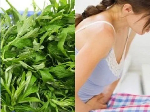 Bài thuốc dân gian trị kinh nguyệt không đều từ ngải cứu