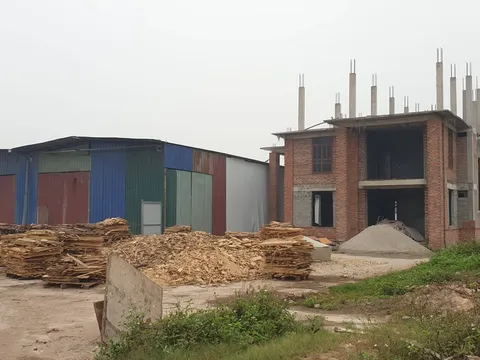 Tỉnh Bắc Giang kết luận về sai phạm dự án, doanh nghiệp vẫn không chấp hành?